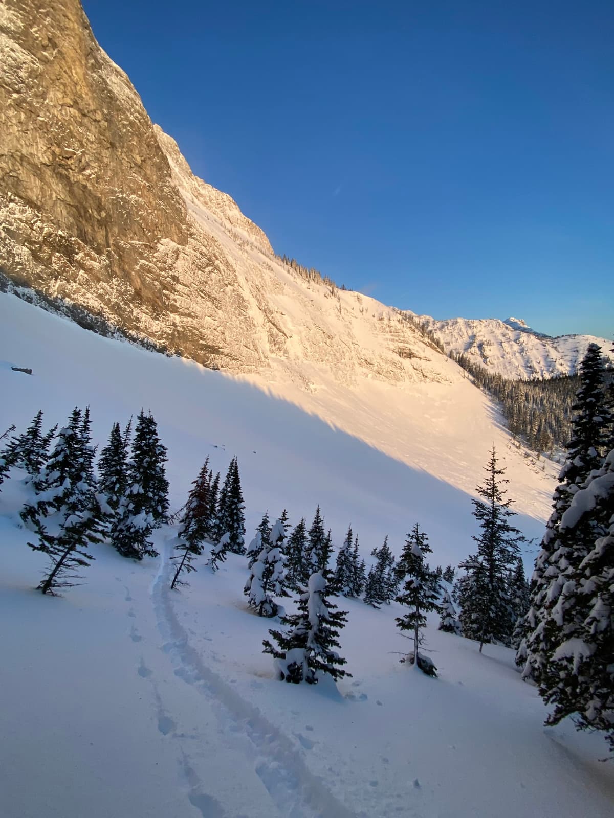 Up and out of the runout before the sun hit the upper face. 