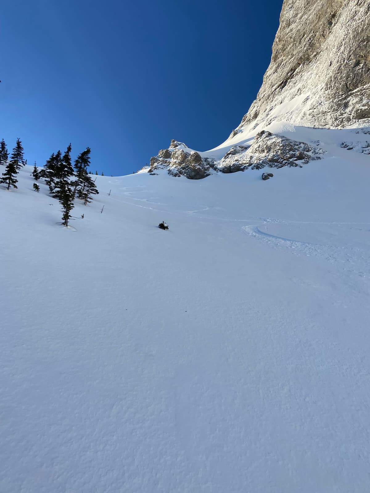 Great skiing in the East Bowl!
