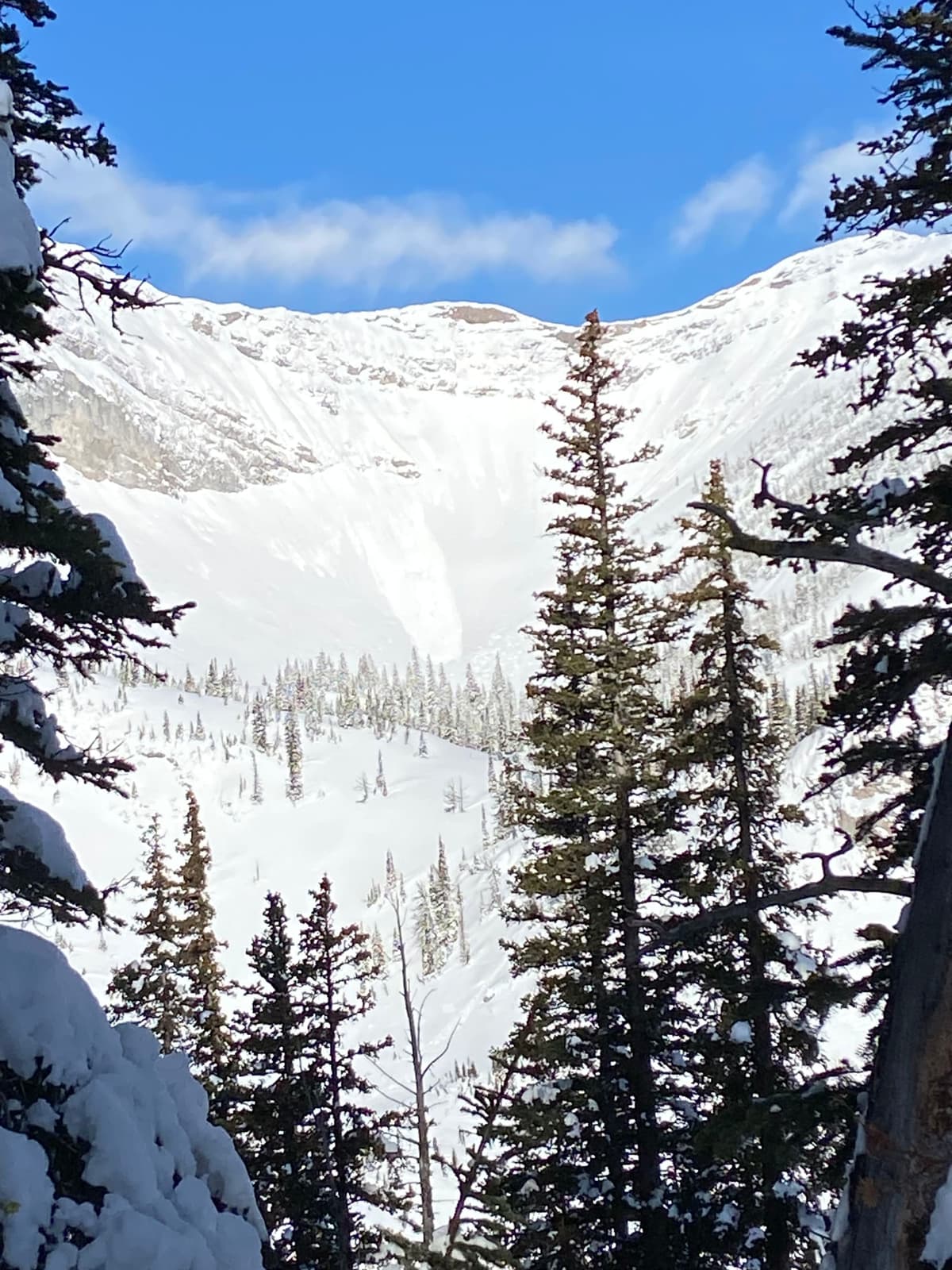 Upper bowl