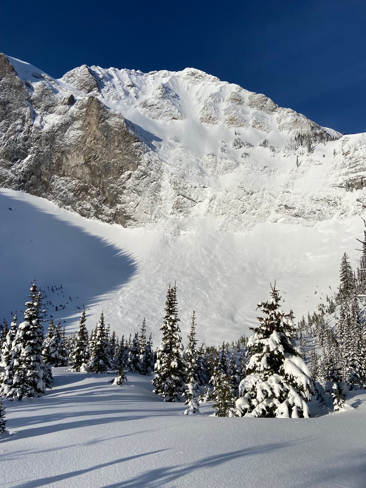 Big avalanche on the East Face