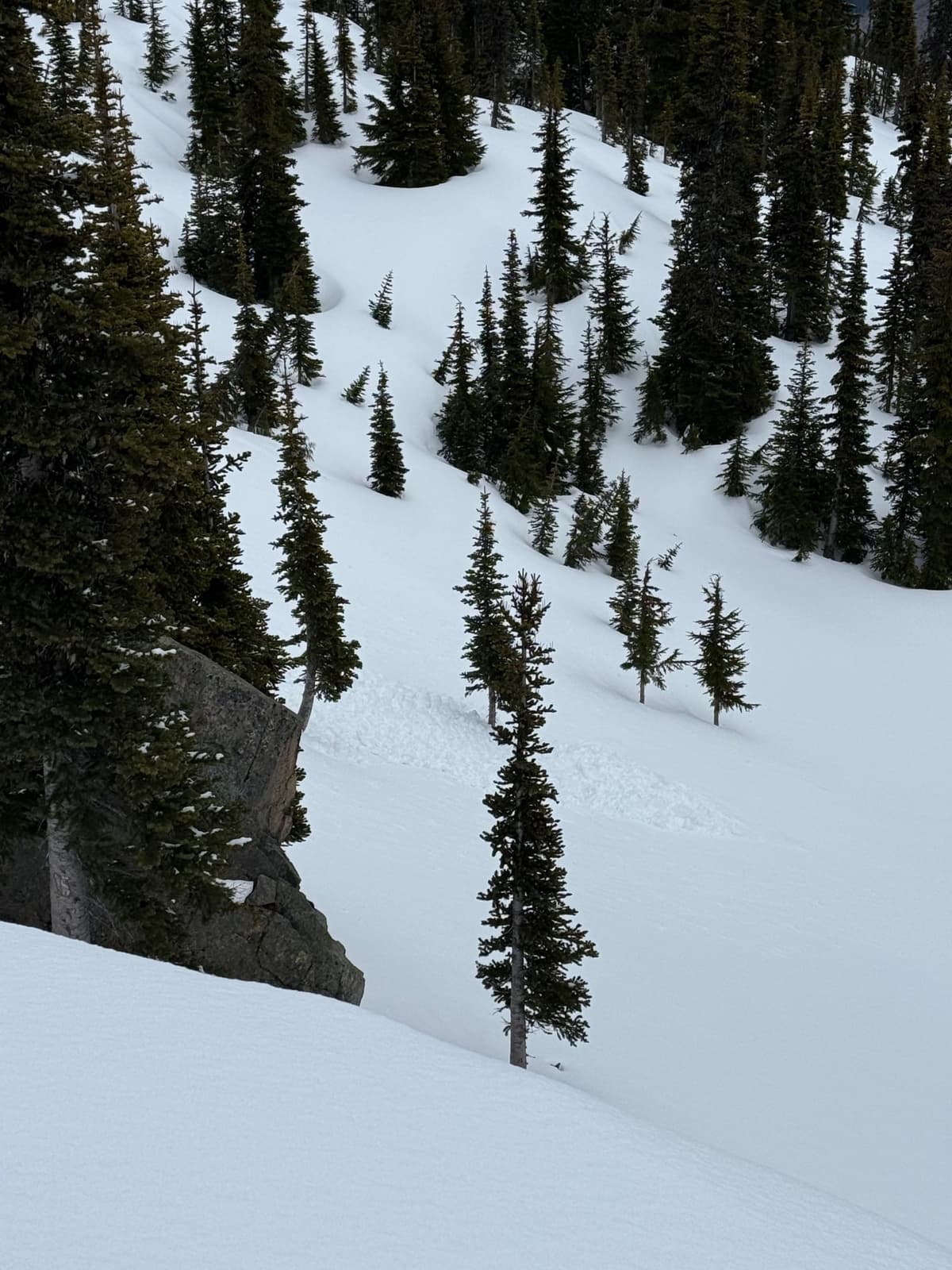 Natural loose wet