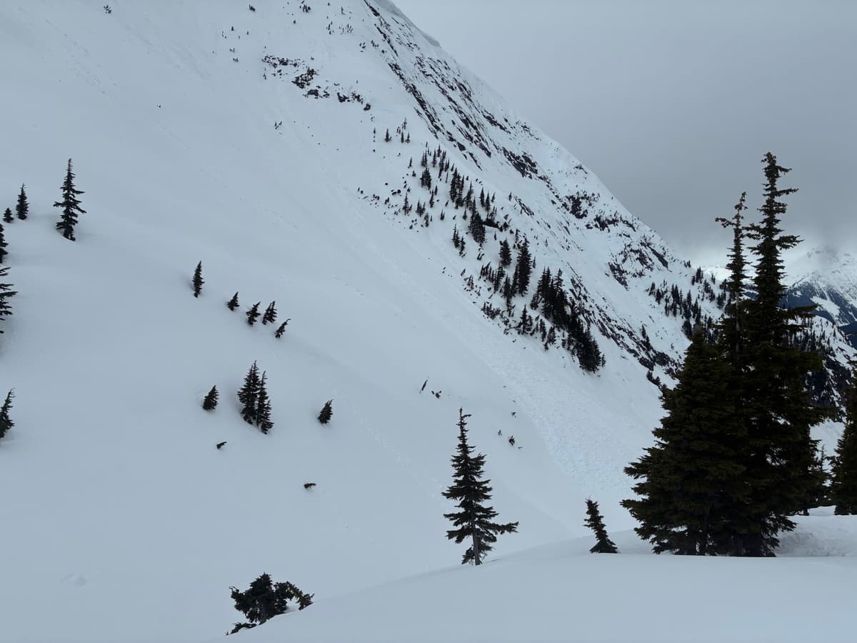 Debris at the bottom of Zymbuck 3