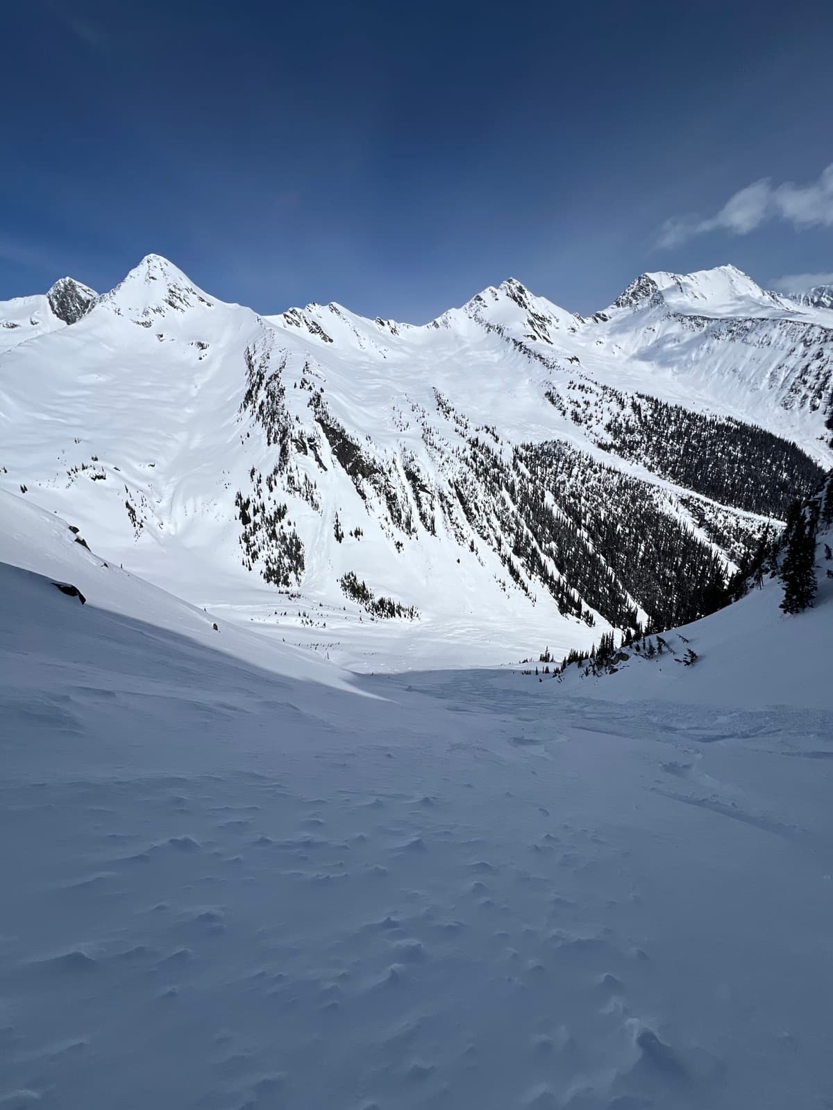 Some great pow turns to be had