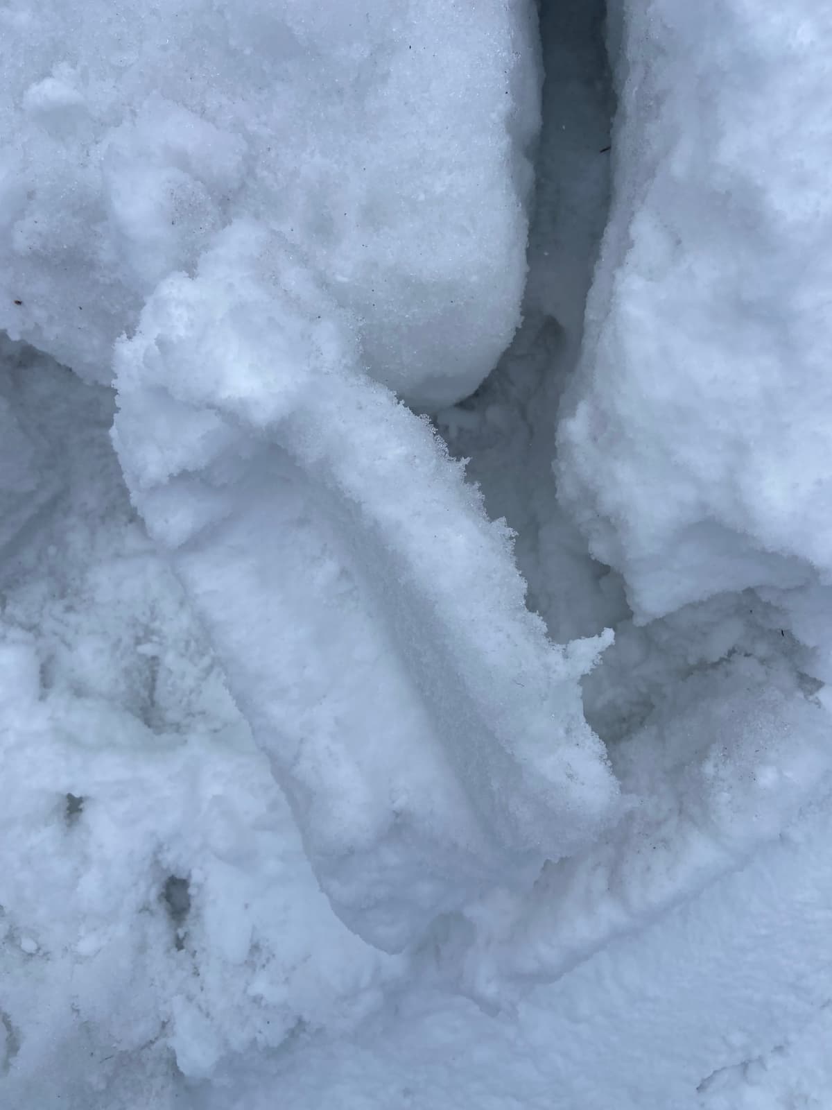Thin crust with fresh snow on the left 