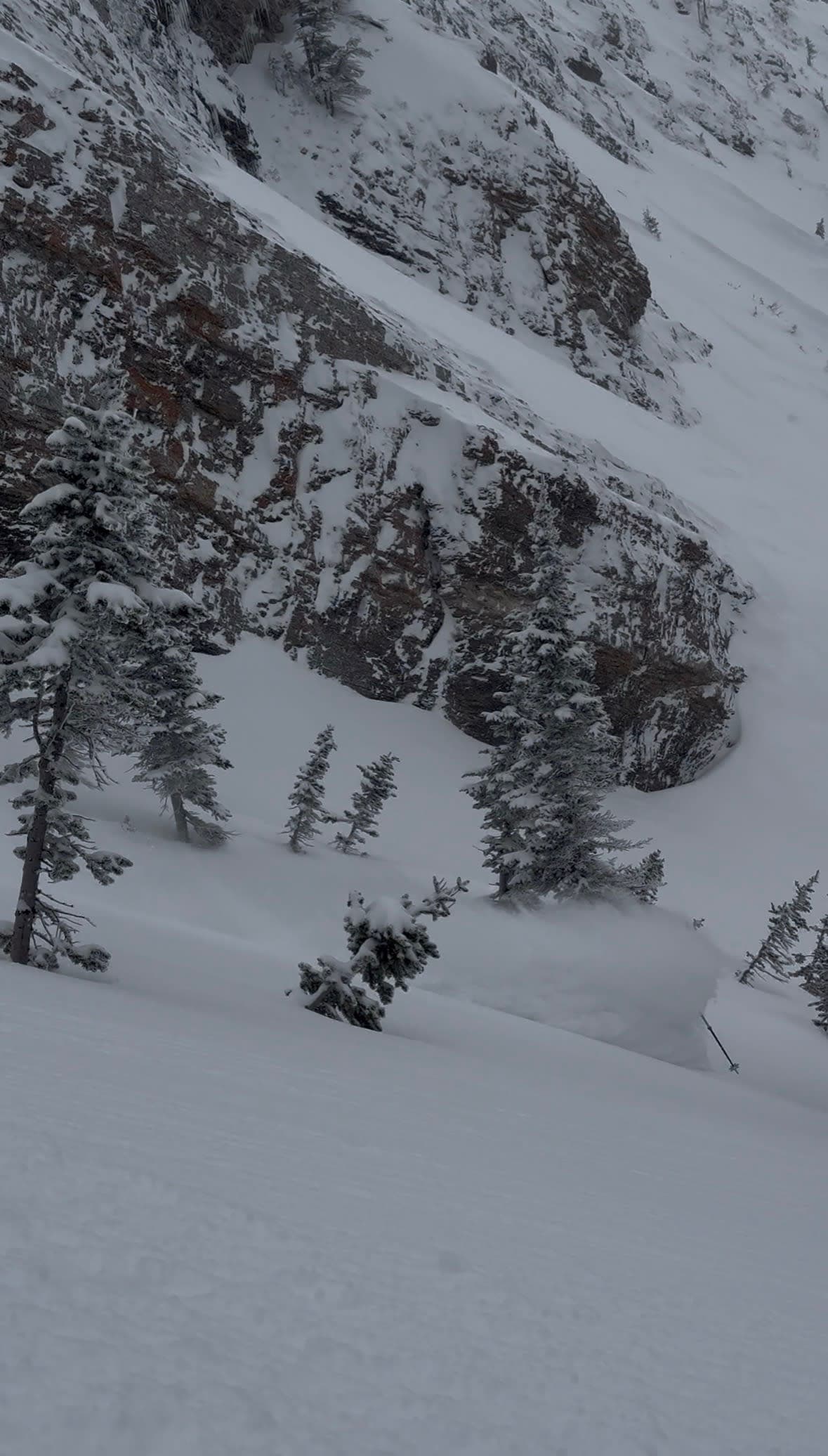 Cold smoke, and deep in sections. 
