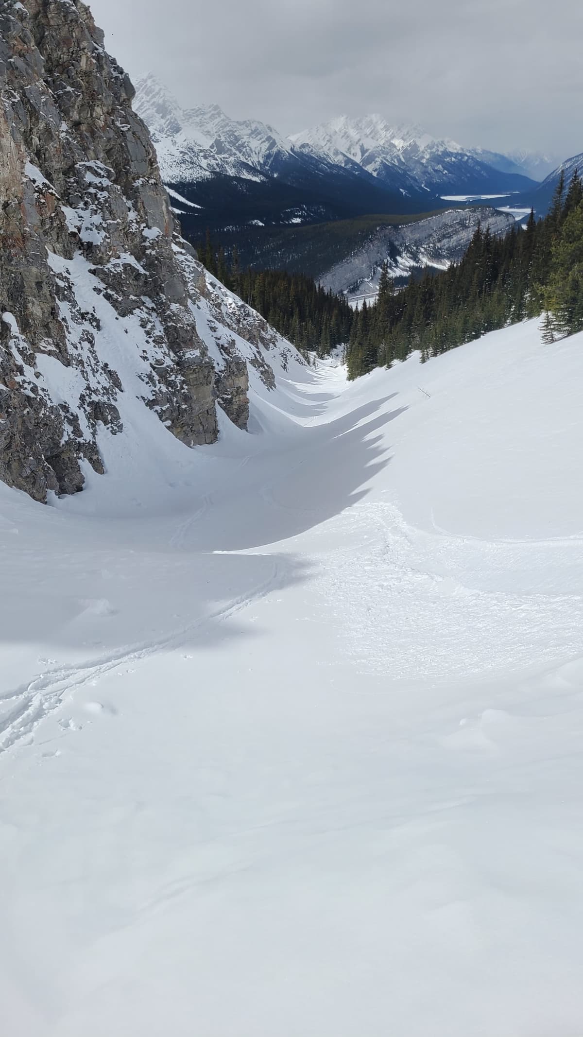 The creek run was the best, just make sure to exit in the trees below this wall. 