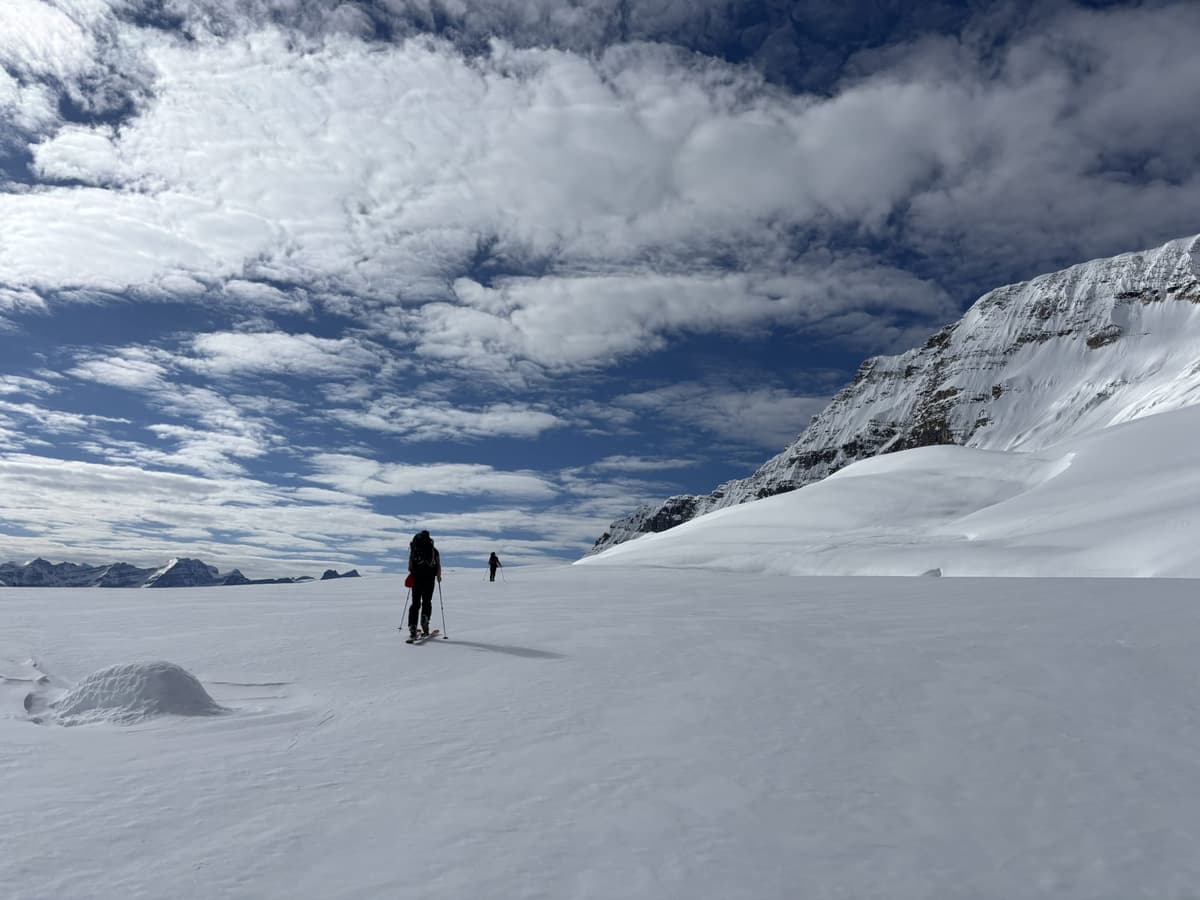 Coverage on Iceline trail