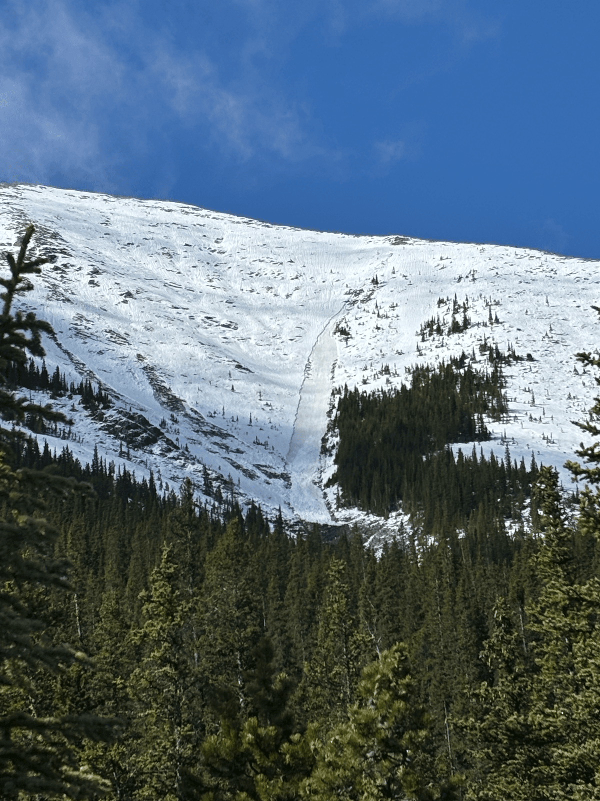View from Baldly Pass