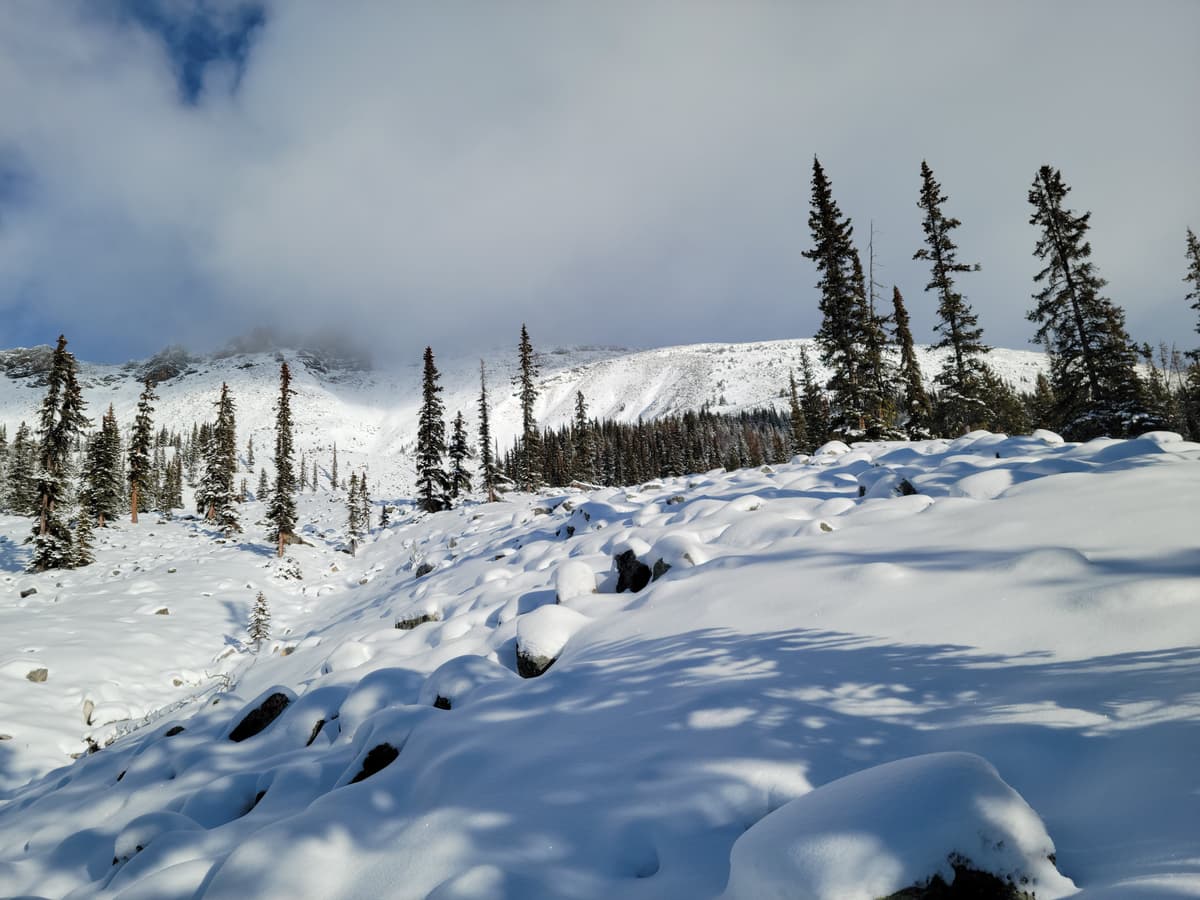 Much texture sticking out in the alpine.