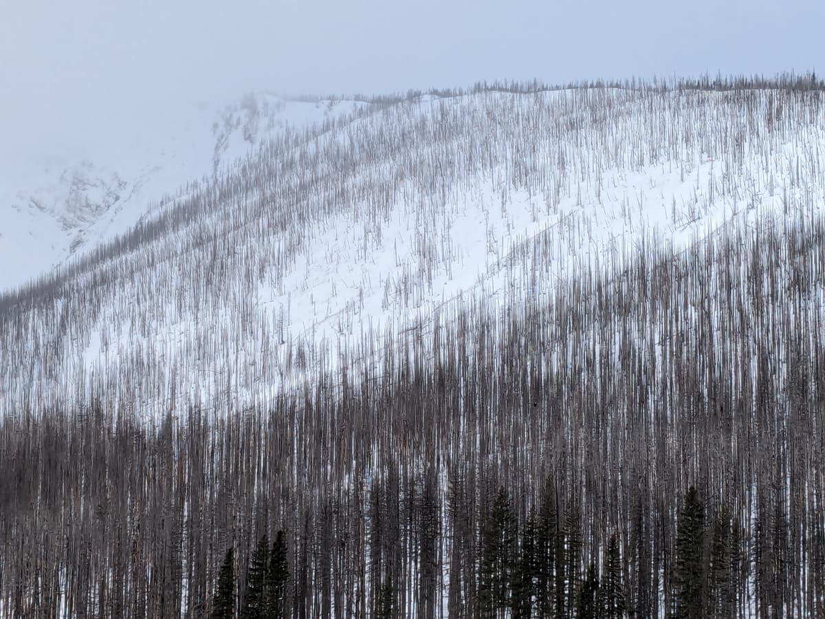 Forum Ridge as seen From Cameron Lake