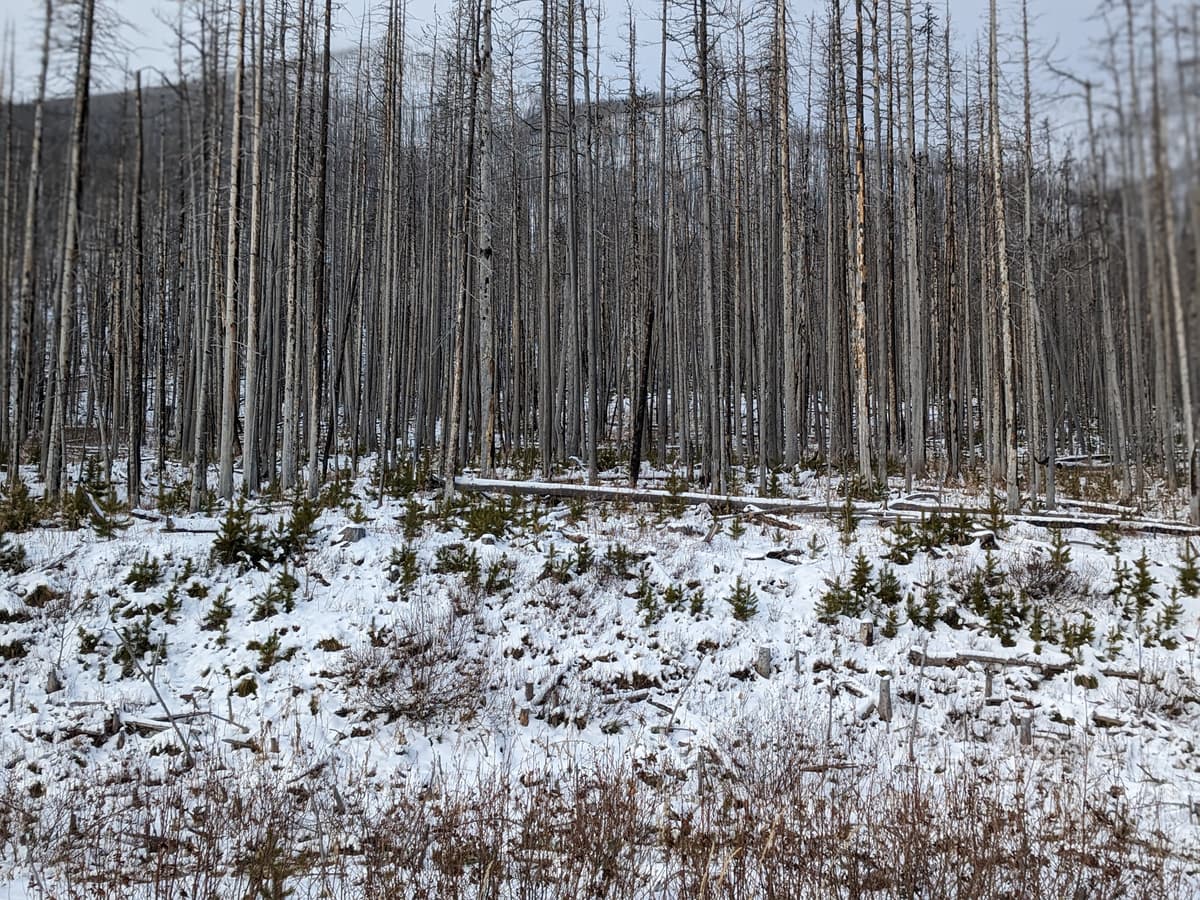 Conditions at the road near Cameron Lake