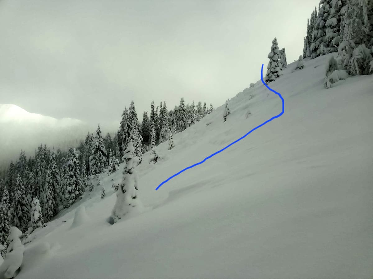 small natural avalanche (size 1) sorry for bad photo quality