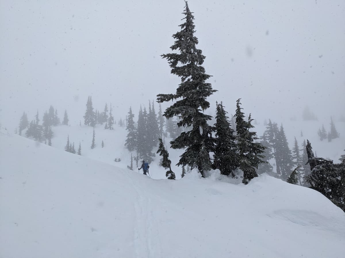 As we entered the backcountry at 11AM we were greeted with snow, glorious snow. Total snowfall amounted to 2cm, max. What wind there was was light and from the south.