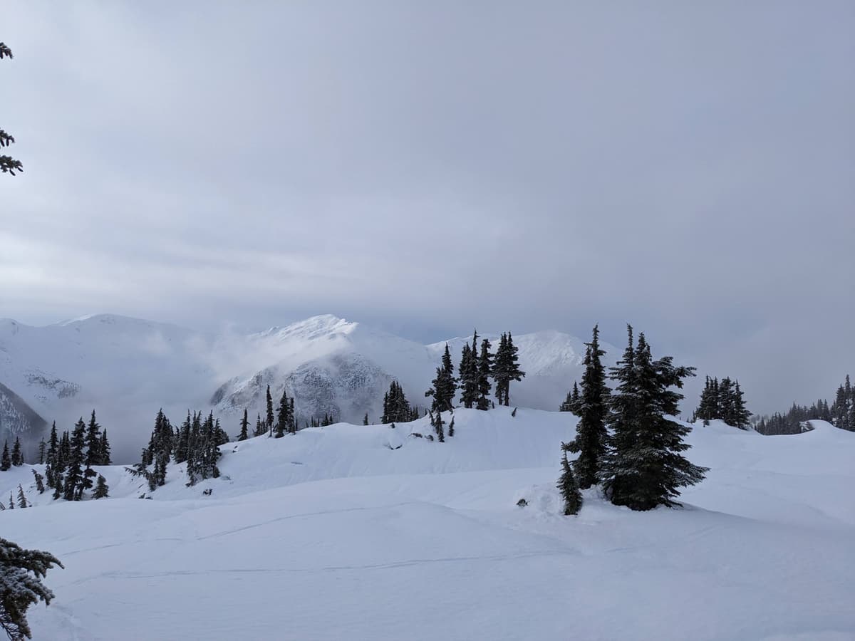By noon the skies had mostly cleared and we were greeted with alpine views (pic is looking SW) as we reached 1200m elevation.