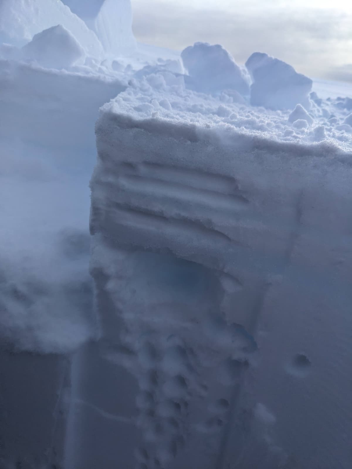 Lunched at 1340m on top of Zymacord trees (wind exposed saddle area, 140cm snow depth). Dry snowpack for the top meter, loose 7ish cm thick layer under a 3cm rain crust that sits down 17cm. 3 thin rain crusts above that then a 3cm thick breakable surface crust. Another thin rain crust sits down 45cm.
