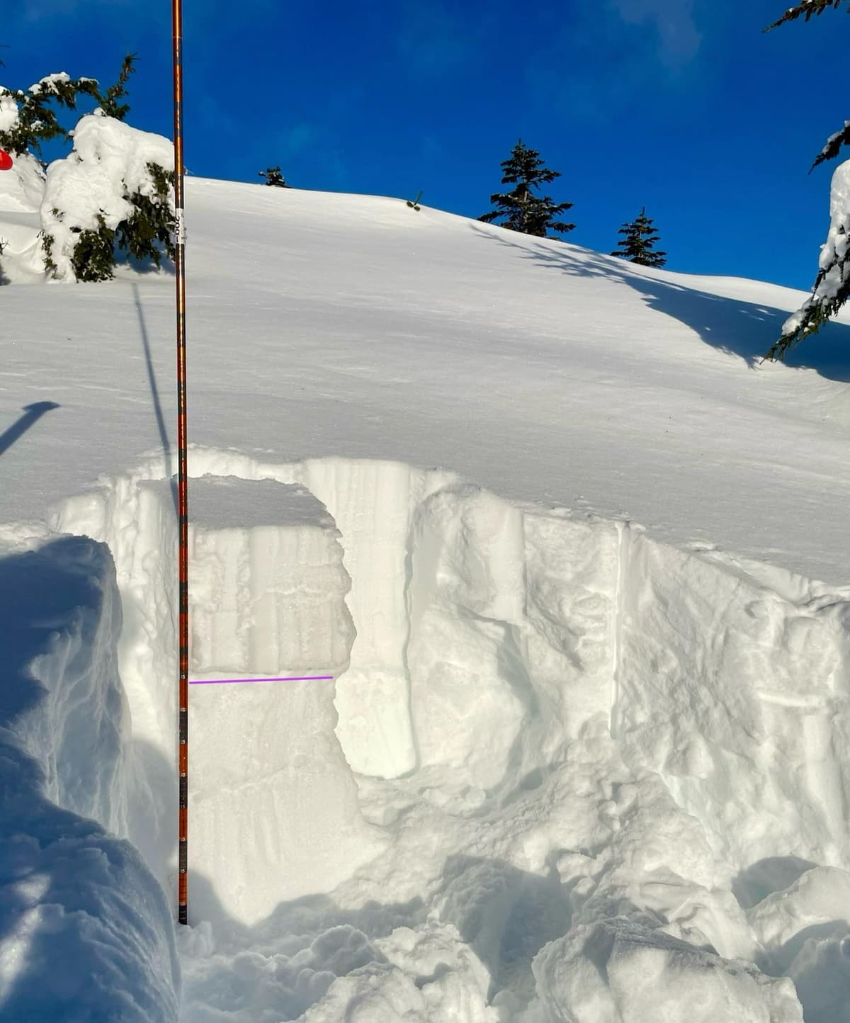 The wind slab is sitting on a weak layer of faceted snow and surface hoar that formed during the cold spell.