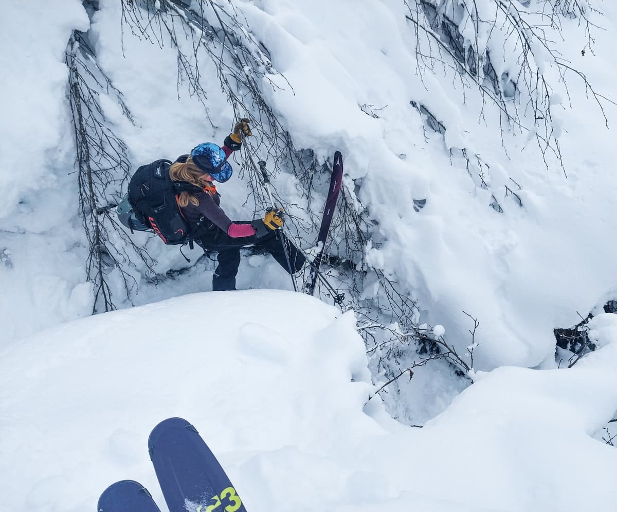 Embracing some alders as we fought through some steep creek gullies and bottoms of avalanche paths.