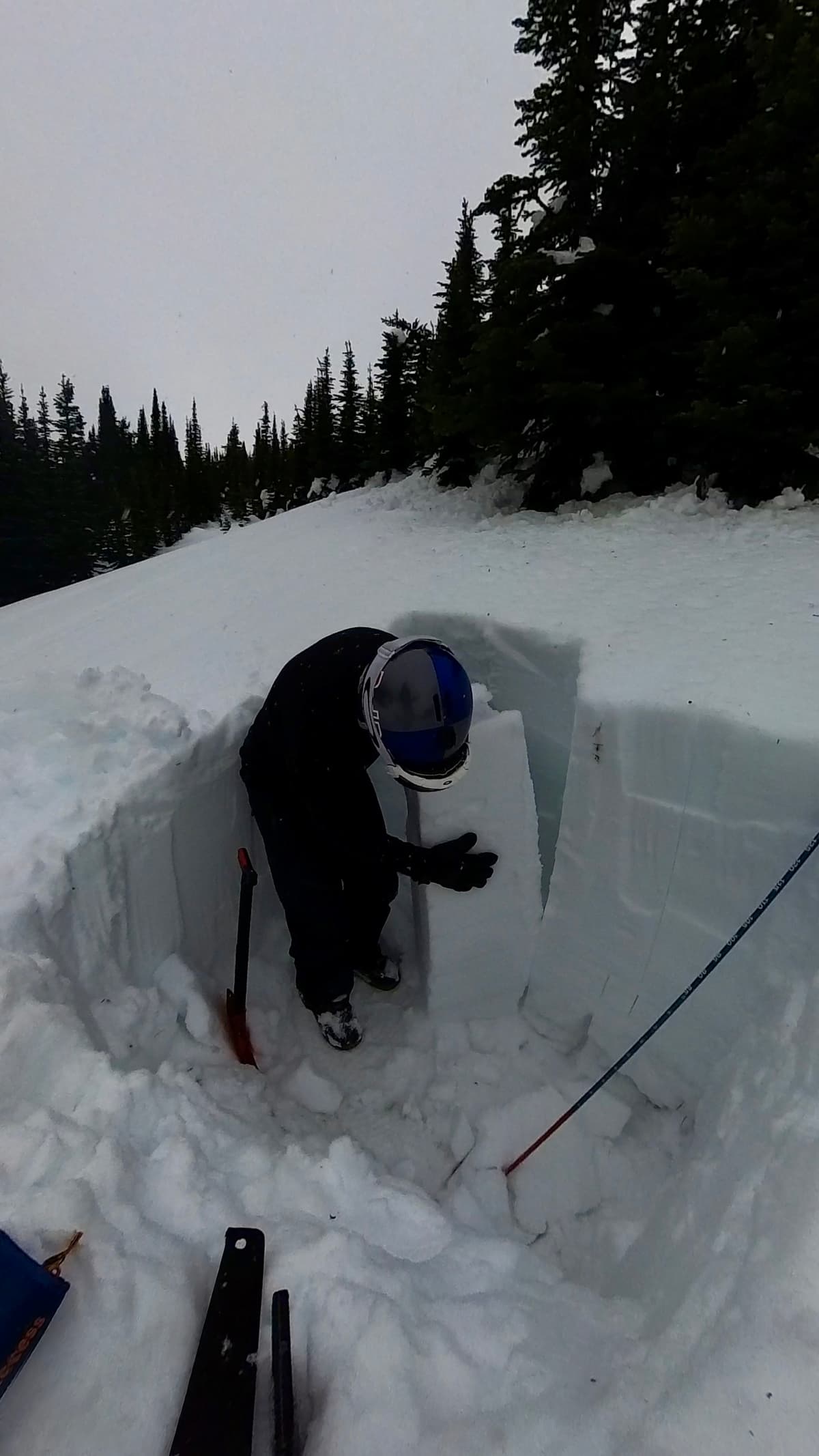 125cm column let go just by grabbing hold of it.
