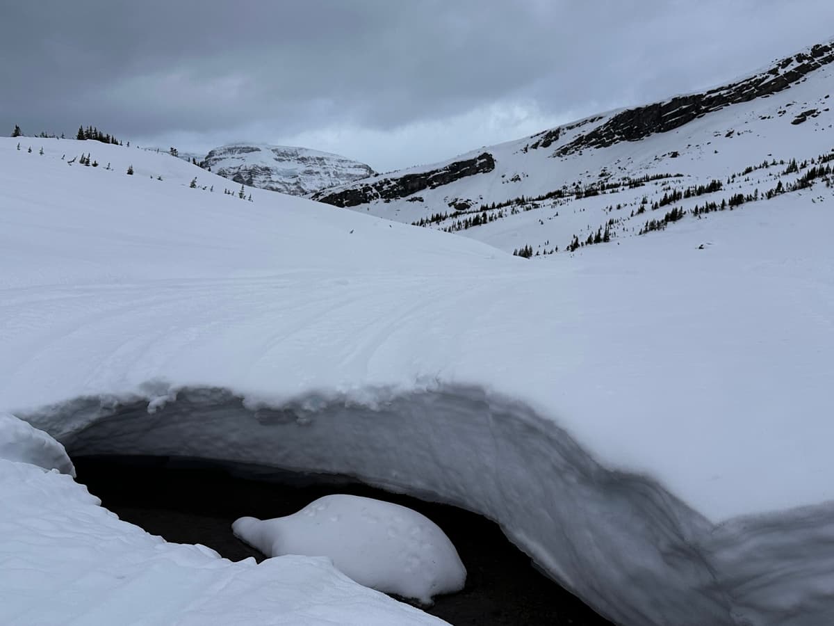 Collapsed trail and creek holes at treeline on Flat Top.