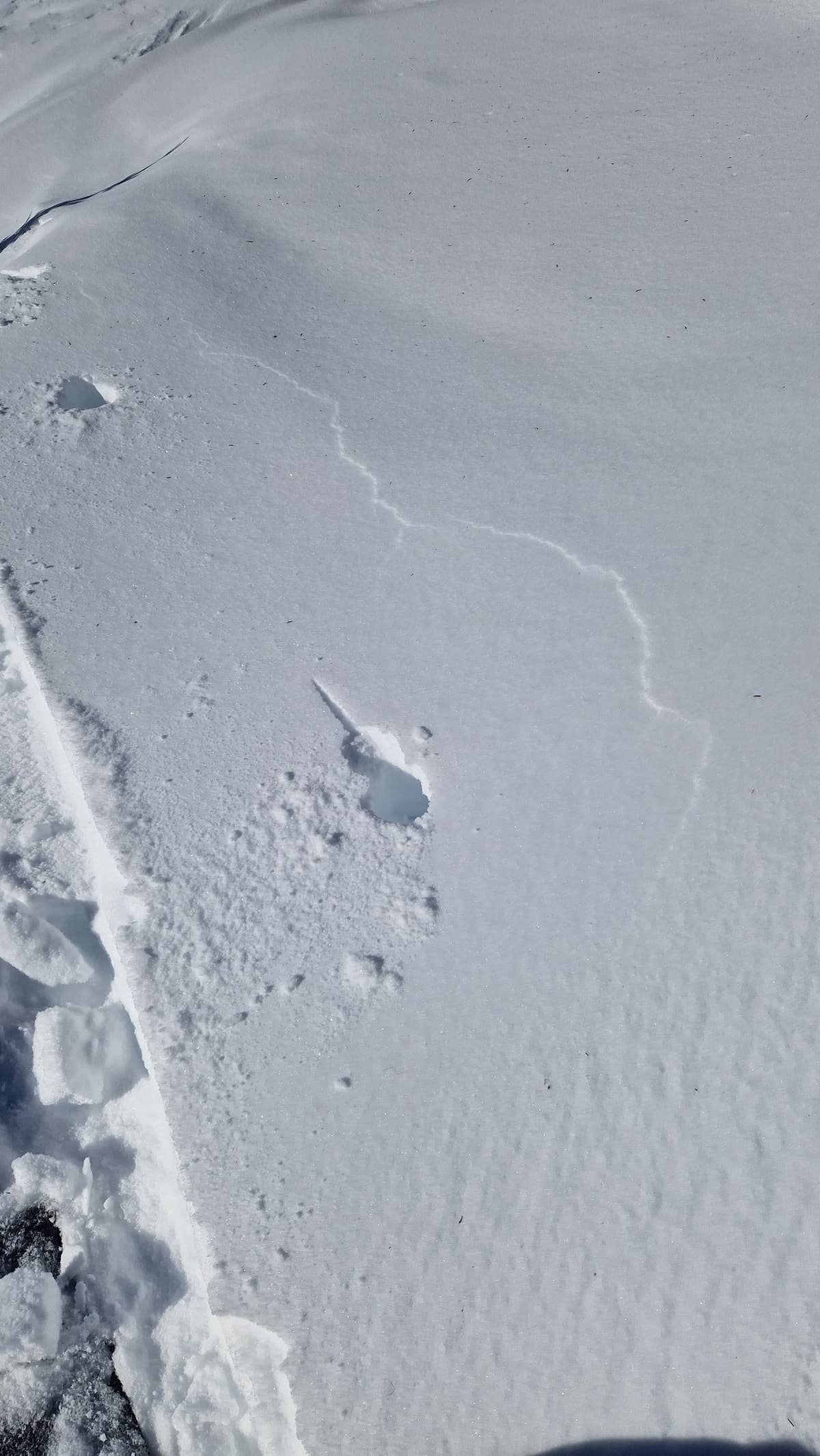 Settlement cracks running as far as 50m from where we walked.