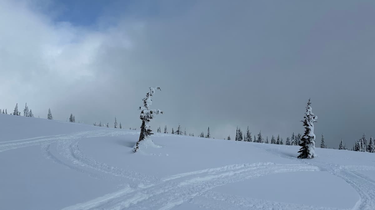 Mostly mellow riding.