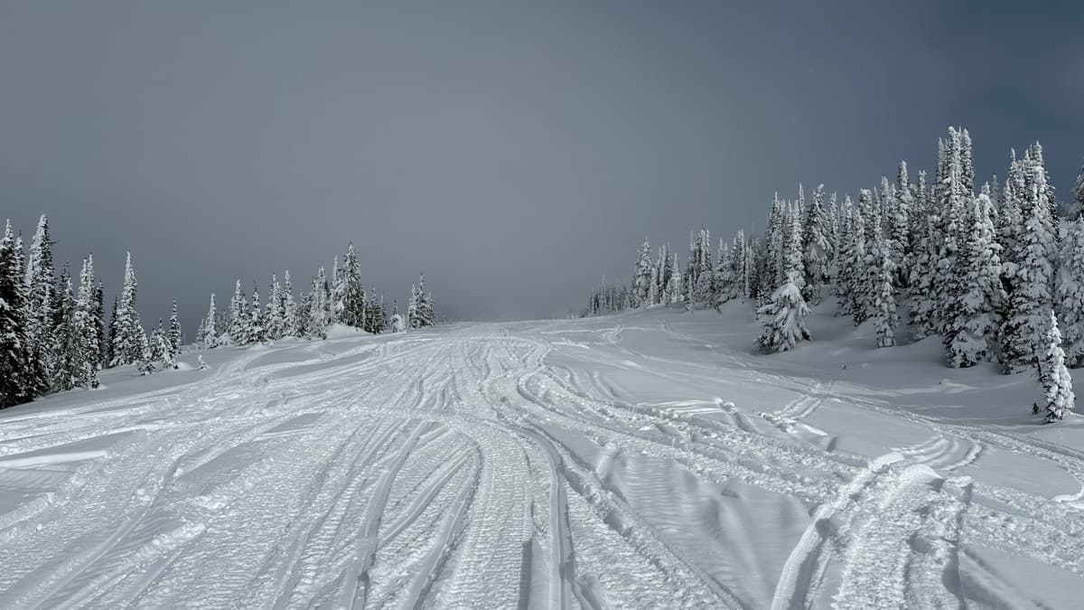 Mostly mellow riding.