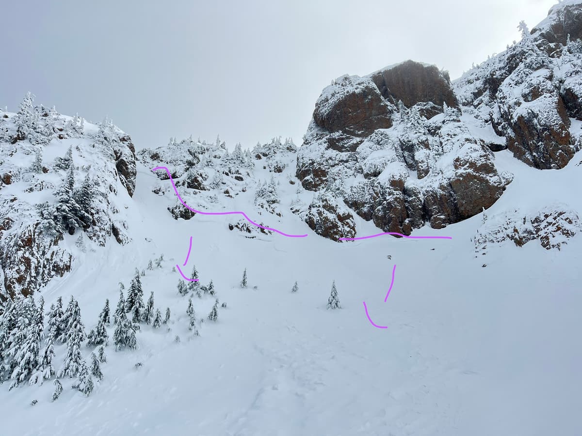 Crown lines