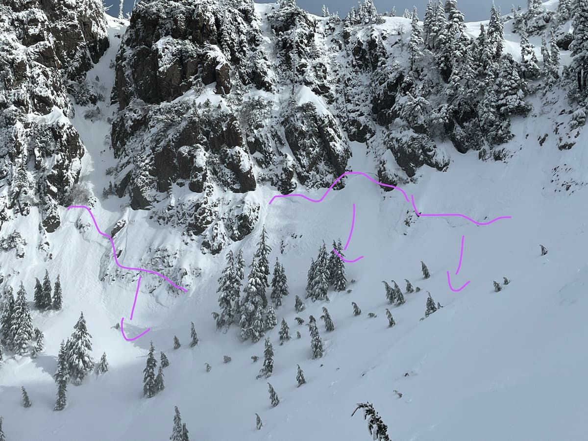 Crown lines