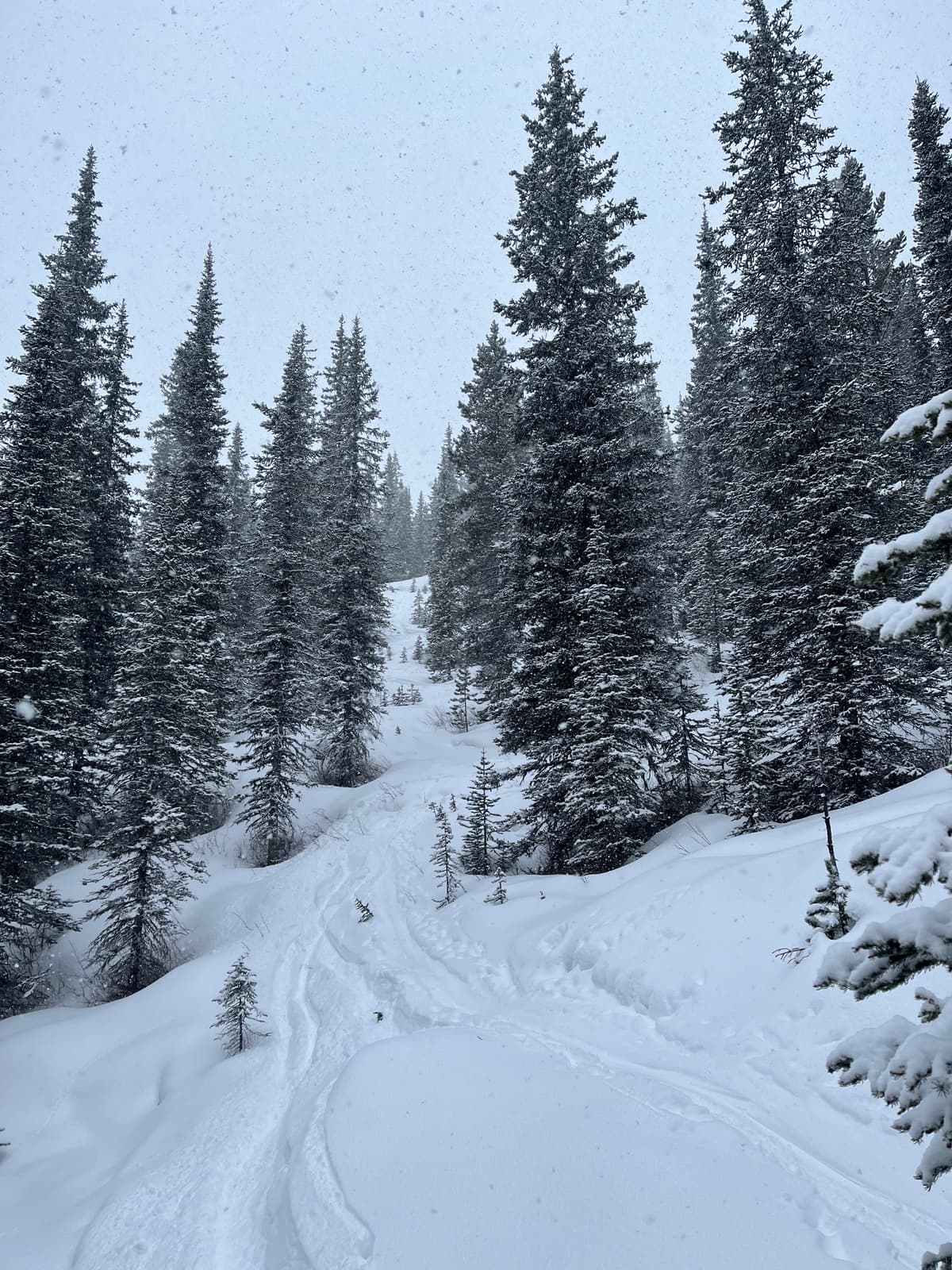 ~2000m, near the north gully
