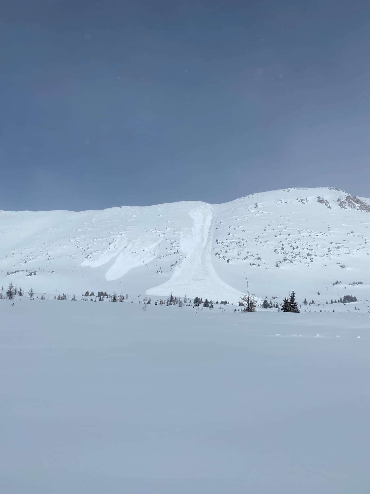 Photos from Lake Louise Snow Safety