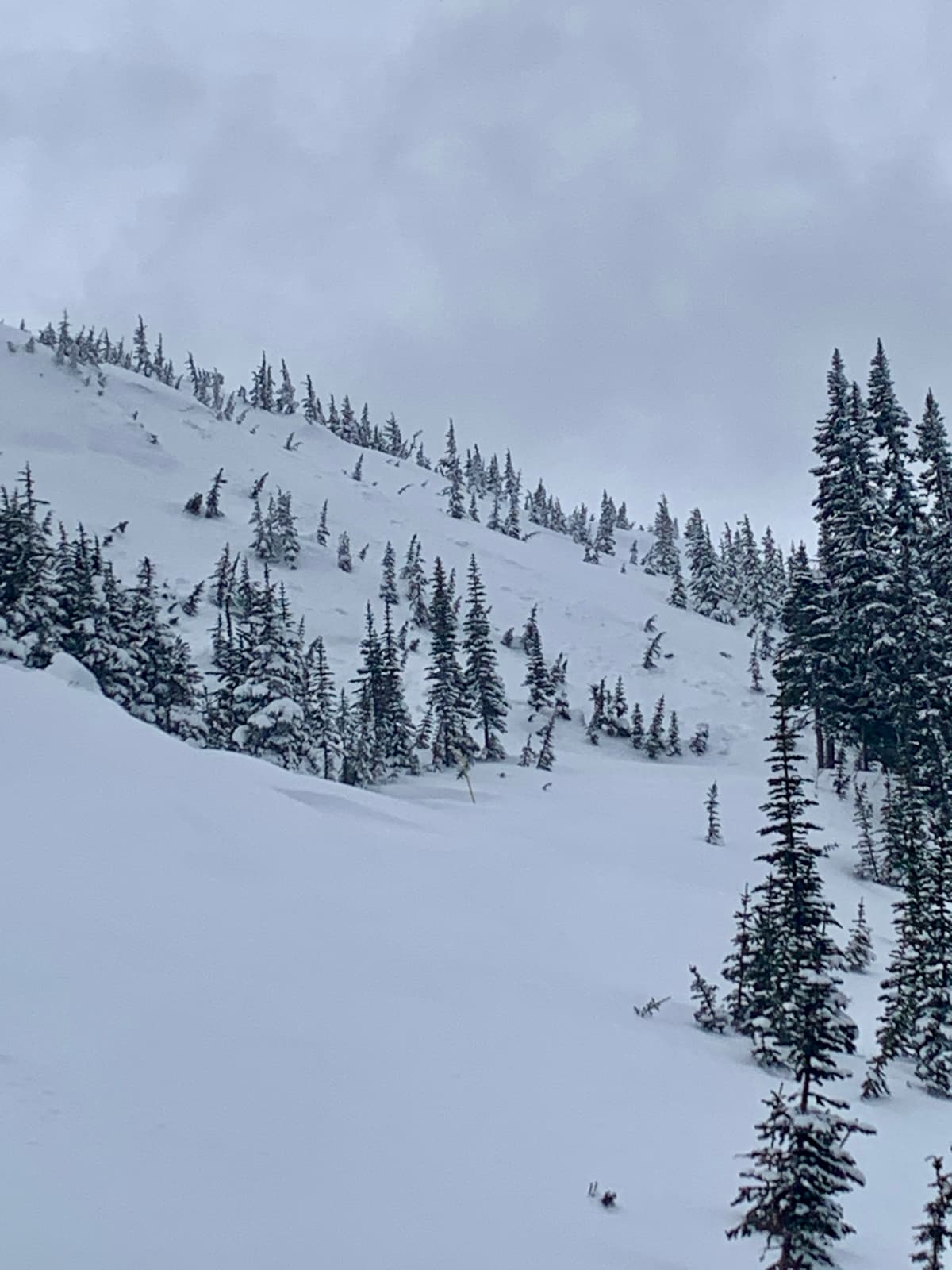 Evidence of older avalanches, suspect approximately 24-48 hours old
