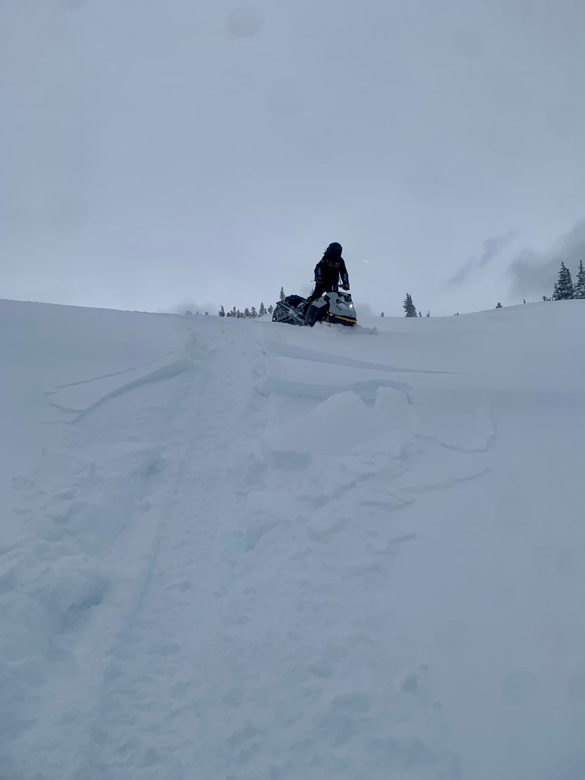 The snowpack was showing increased slab quality and reactivity due to the moderate to strong winds today.
