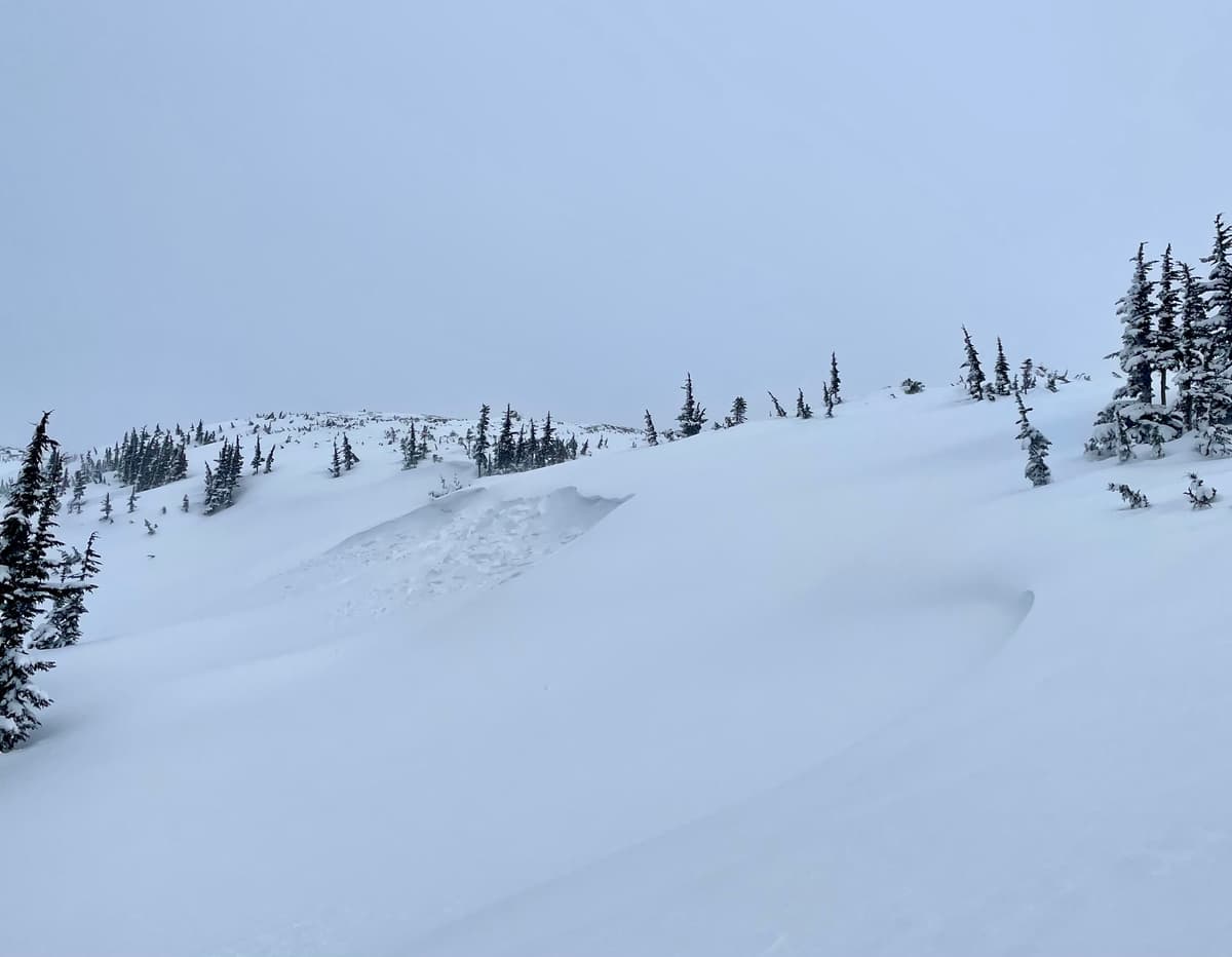 More evidence of the avalanche hazard