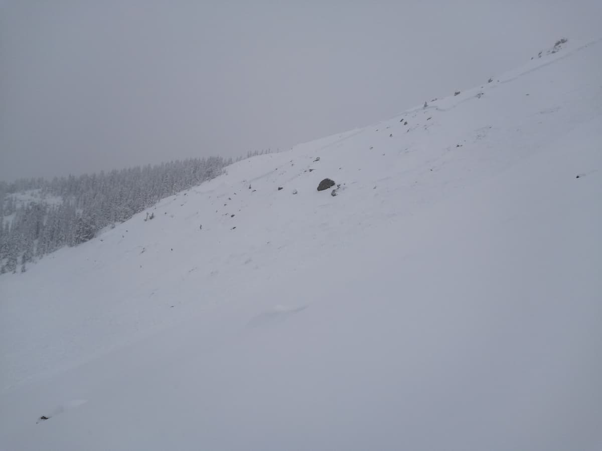 Photo of the second slide, taken from near where it was triggered