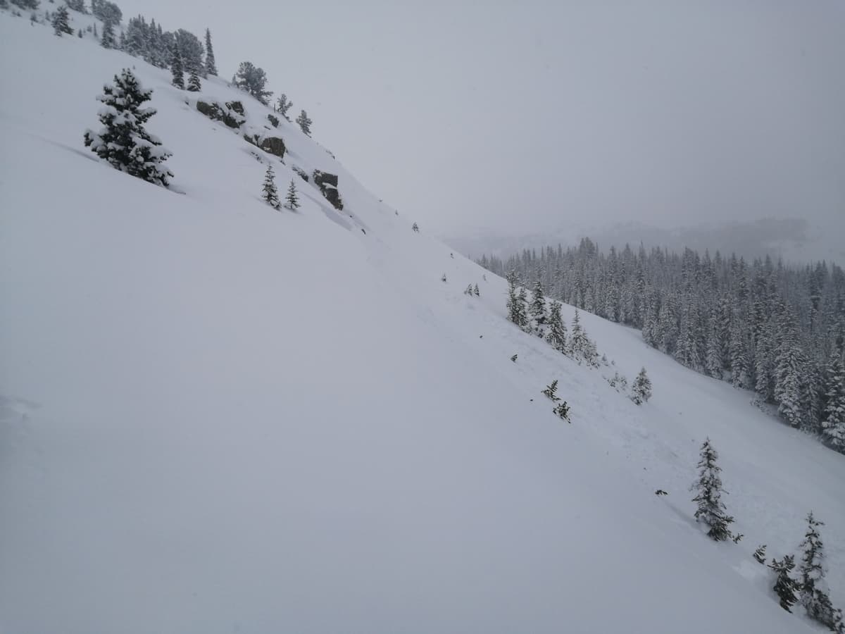 Photo of the first slide, taken from near where it was triggered