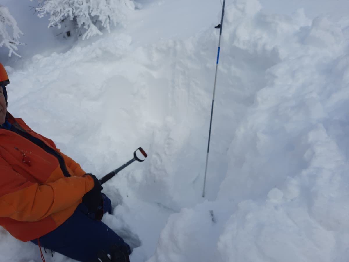 Top snow layer of 50cm of storm snow on top of a well bonded consolidated layers. CT showed NO response. 275cm snowpack.
