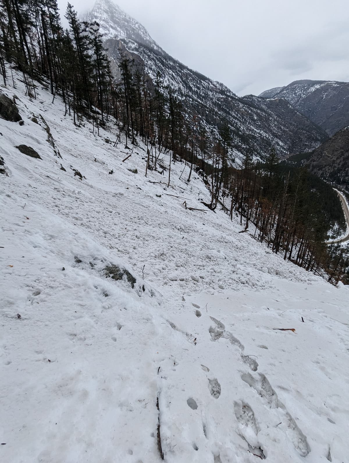 Debris (more unseen down slope)