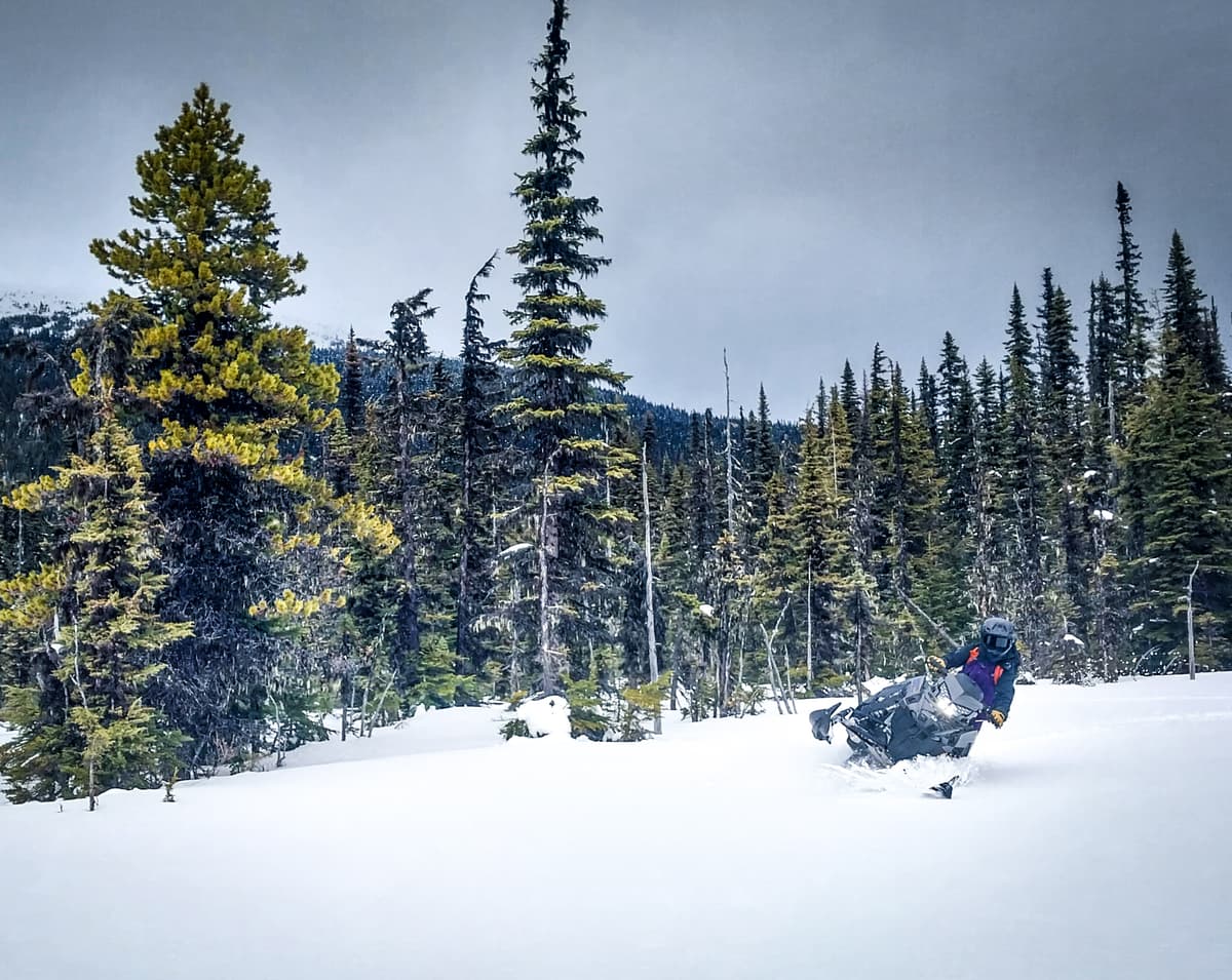 Some moist powder at lower elevations still made for some good riding.