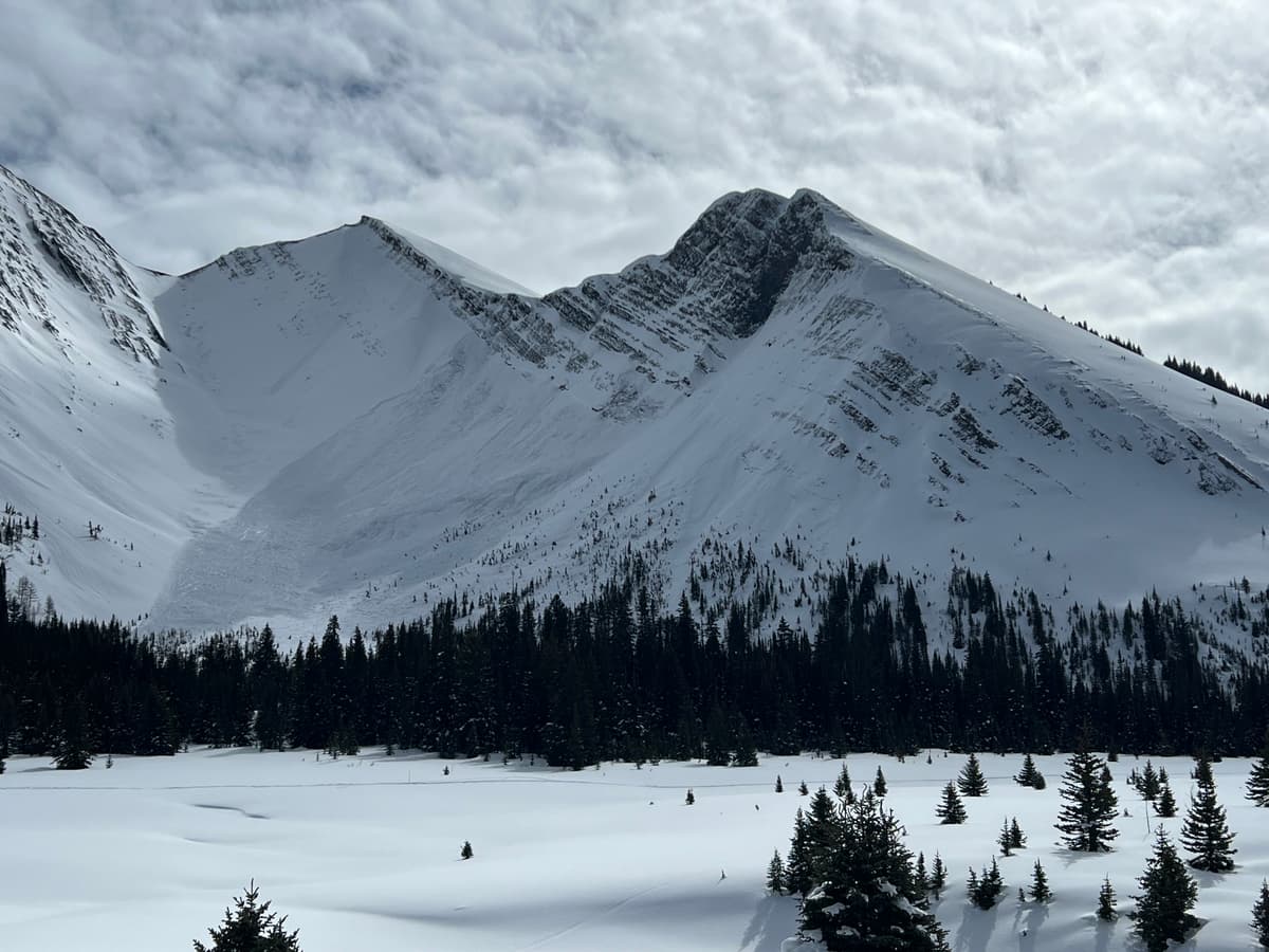 NNW aspect of Little Chester with recent size 2 natural avalanche