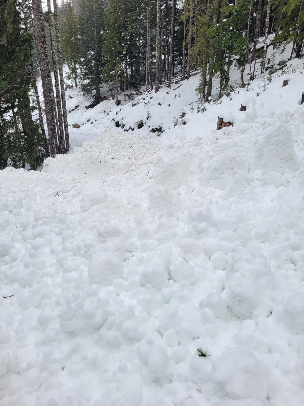 About 150 wide swath covering road