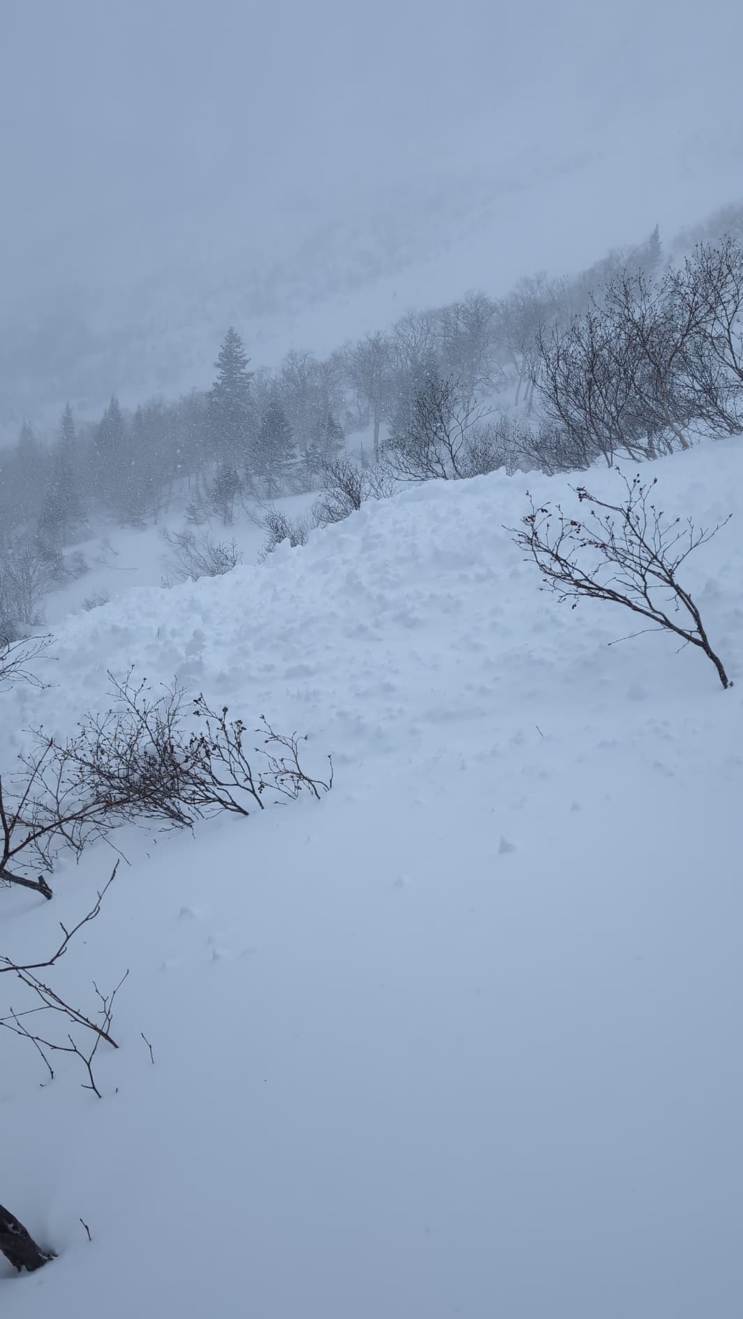 Dépôt d'avalanche naturelle