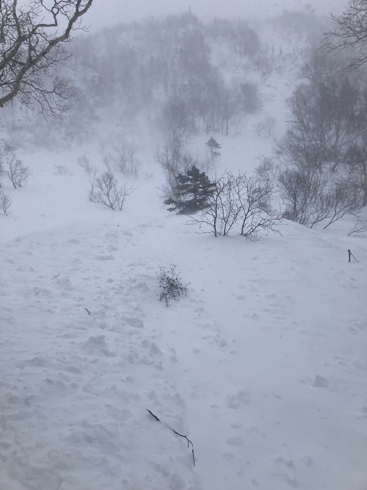 Dépôt d'avalanche naturelle