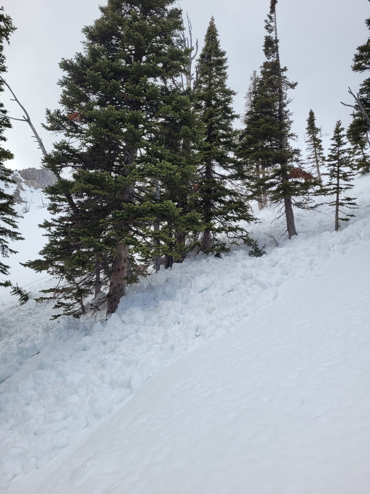 Debris from the push started size 1 wet loose.