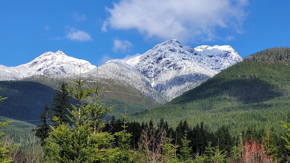Mt Alson and Alston fin.
