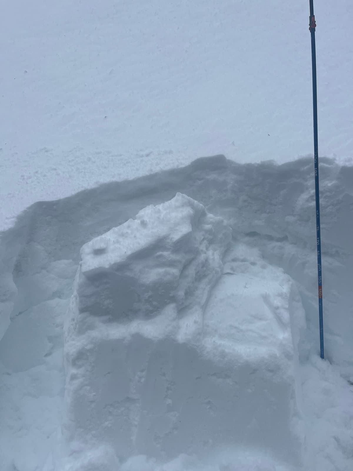 Very stable snow. 2m deep. Right side up. Consolidated and heavy. Better to ski strong through the heavy snow.