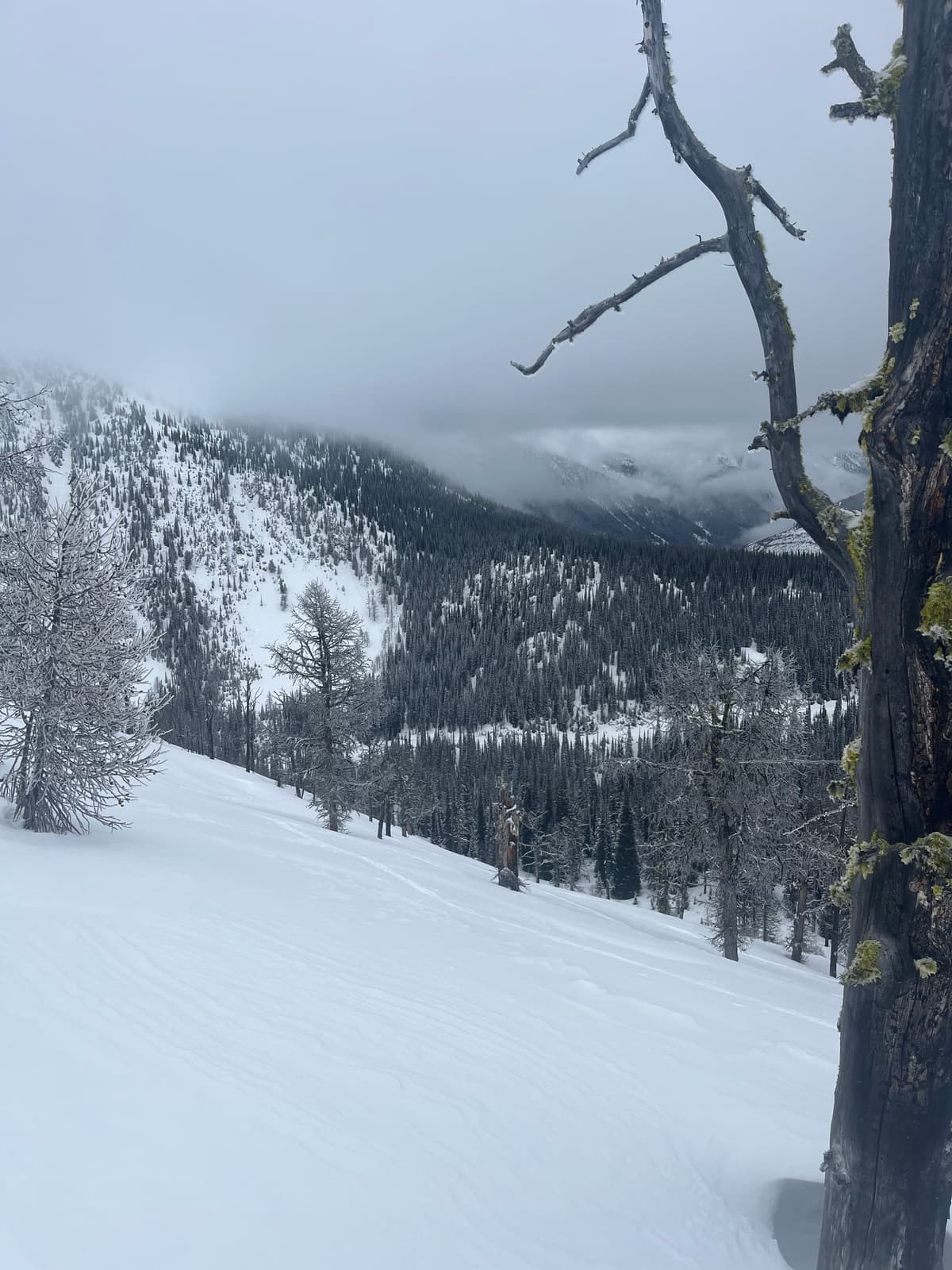 Patches of powder in a sea of crusty wind affected snow