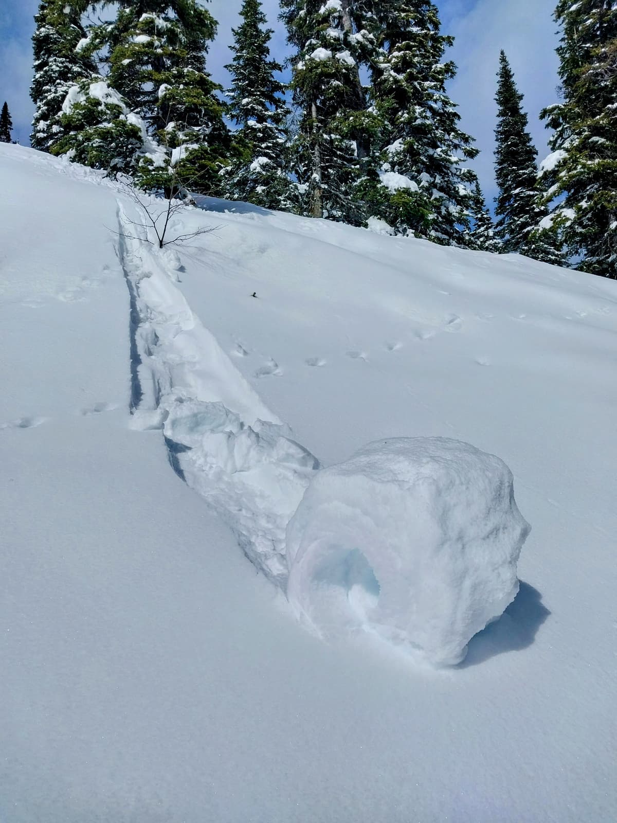 Pinwheels as a result of moist surface snow below treeline and on sunny slopes.