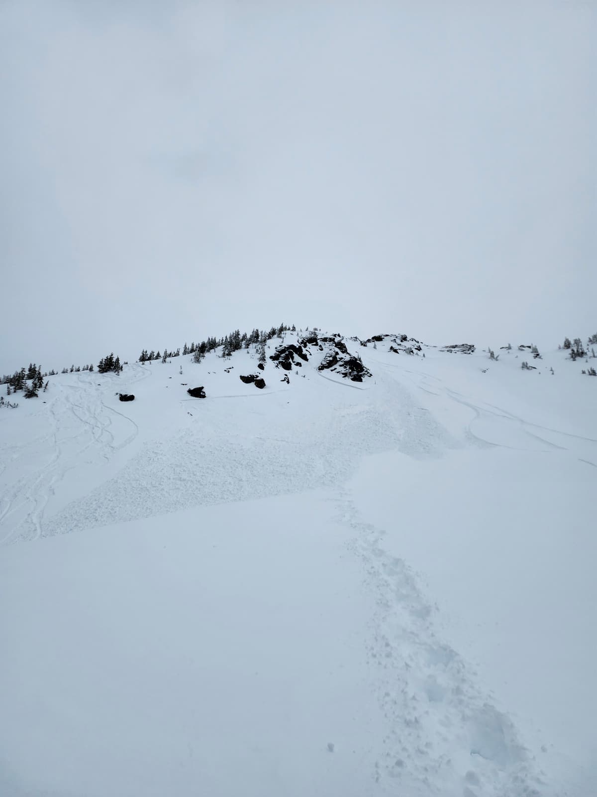 Small size 1 avalanche on a south facing aspect just outside of the south boundary.