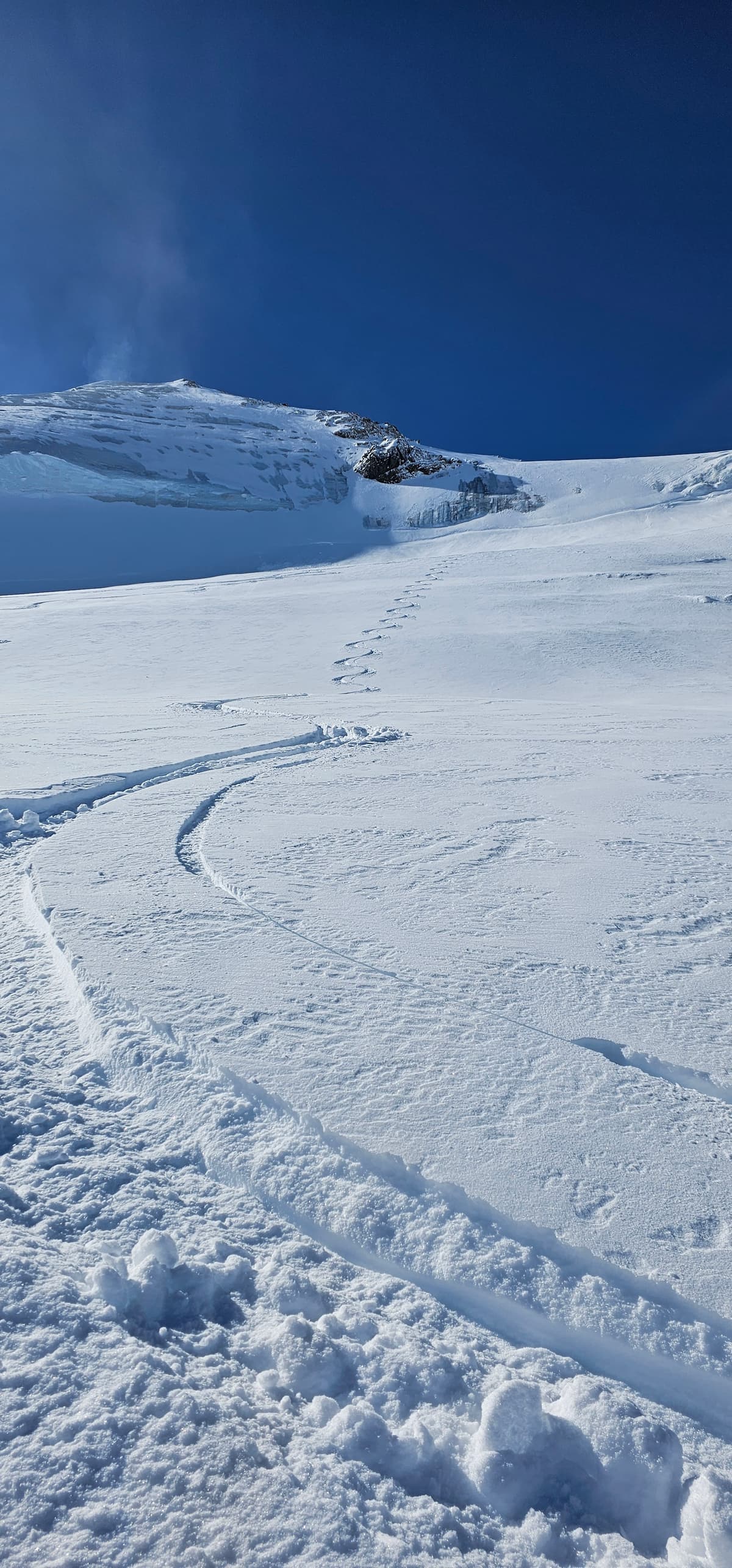 Amazing powder snow, great coverage all over the glacier