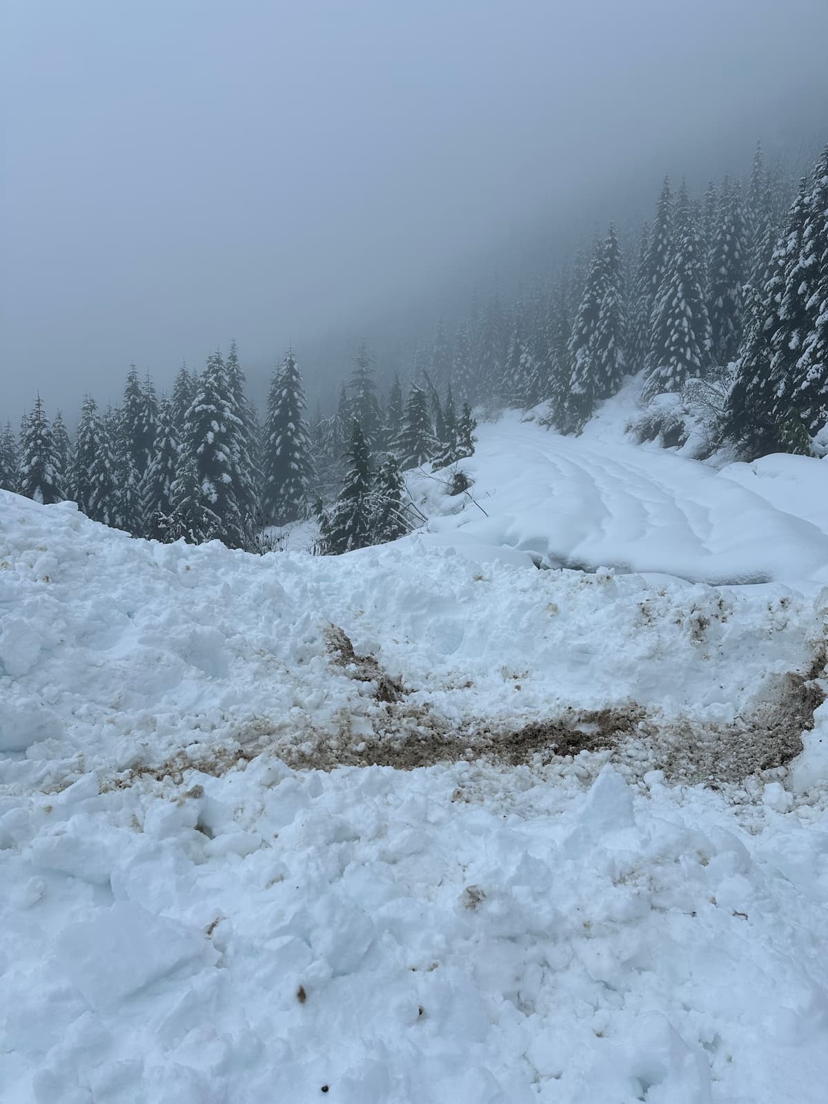 Dug ourselves a lil’ fox hole…